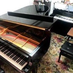 宝塚市逆瀬川、西山小学校近くの音楽教室✩.*˚優しく丁寧なレッスン！