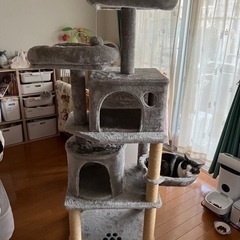 《決まりました》キャットタワー　※一部故障ありの画像
