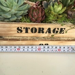 多肉植物寄せ植え(ピンクの小鳥)の画像