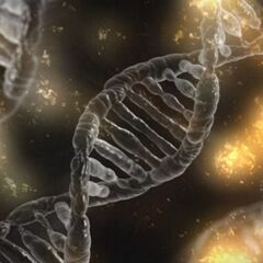 年齢を重ねたら、酵素を摂ると良い、って本当なの？＜細胞科学体験講座＞の画像