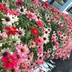 おともだち🥰 - 友達