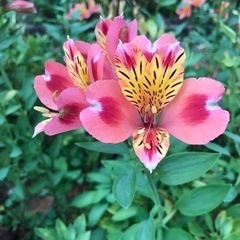 おともだち🥰