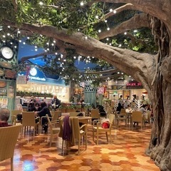 3月24日オープニングスタッフ募集中