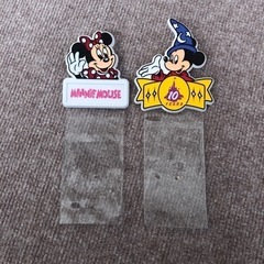 ディズニーランド　10周年アニバーサリー　チケットホルダー