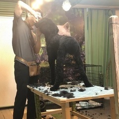 土日祝アルバイト募集の画像
