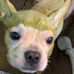 土日祝アルバイト募集の画像
