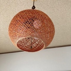 至急‼️電気カバー　シェードの画像