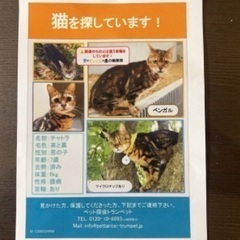 探してます。ご連絡下さい。