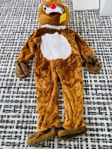 イベントやパーティーに大活躍！ 着ぐるみ 2体セット クマ 大人用 くまさん 男女兼用