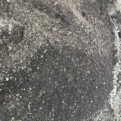 新規受付終了 元植木屋さんの土地の残土 家庭菜園などにも