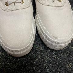 keds 白スニーカー 24cmの画像