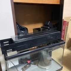 水槽用品もらってください！の画像