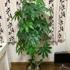 《取引者決定》フェイクグリーン  大型