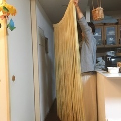のれん　ビーカンパニー 