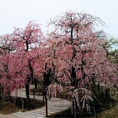 家具家電　一式　譲ってください