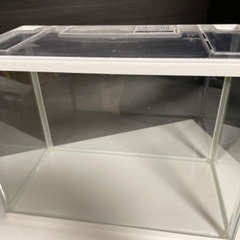 水槽セット 無料で差し上げます！