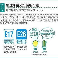 定価：１個7,245円 レトロ調！大光電機 クリアガラス ペンダント ライト 60ワット ノスタルジックランプ DPN-２個セット53465の画像