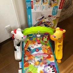 フィッシャープライス3ウェイトドラージム