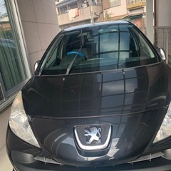 プジョー207      11日迄の掲載です。