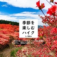 葛城山で、一目100万本のツツジをみよう。