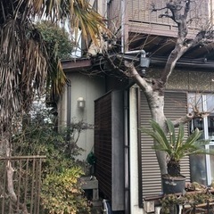 家の解体