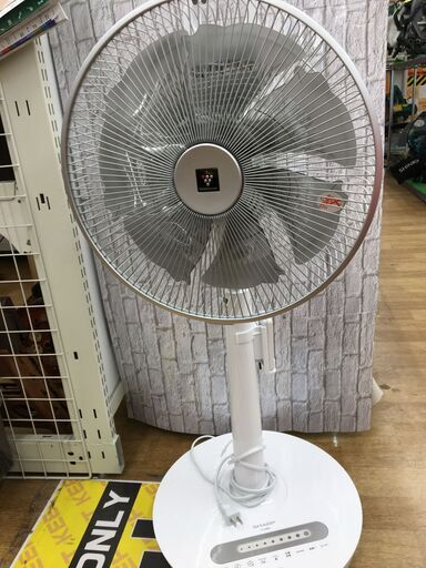 シャープ　プラズマクラスター　扇風機　PJ-N3DG-W　21年製　中古品