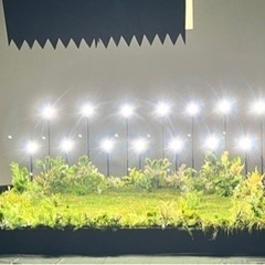 芝生　ジョイターフ　22ロール11箱の画像