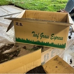 芝生　ジョイターフ　22ロール11箱の画像