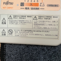 電気カーペット　一人暮らし用の画像