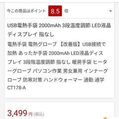 ジャンク　電熱グローブの画像
