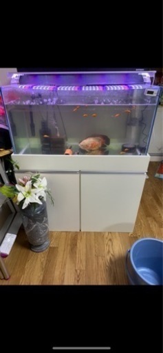 90センチ水槽と台