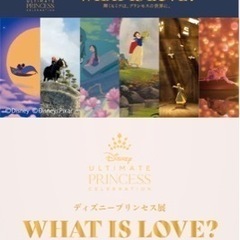 一緒にディズニープリンセス展に行きませんか？？
