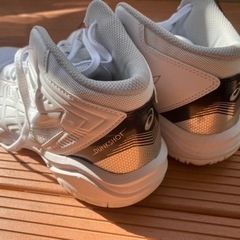 バスケ　バッシュの画像