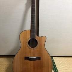 fender アコースティックギターGA45SCE NAT 