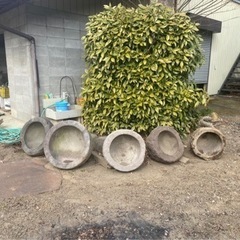 石臼　メダカ飼育容器の画像