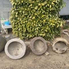 石臼　メダカ飼育容器の画像