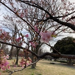 3/20 モルック＆読書会📚 - 葛飾区