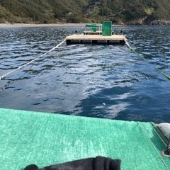 一緒に釣りに行ける方募集です