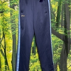 英明　男子ジャージ上下の画像