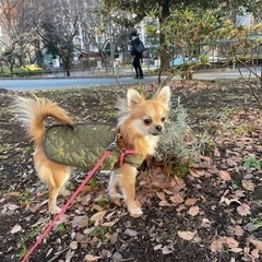 新宿中央公園で散歩 - 友達