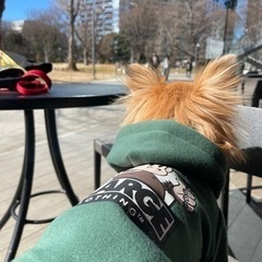 新宿中央公園で散歩 - 新宿区