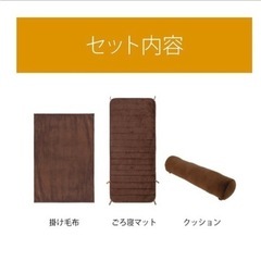 電気毛布（新品）の画像