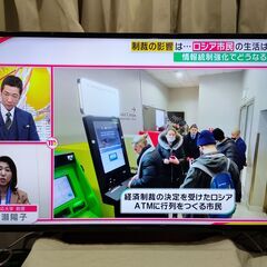 panasonic　43型 液晶テレビ16年　TH-43D305