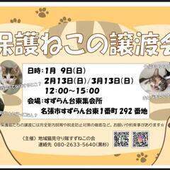 猫の譲渡会のお知らせ