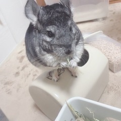 【決定しました】
