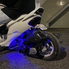 ライブDioZXロンホイの画像