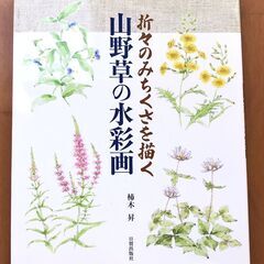 山野草の水彩画 折々のみちくさを描く
