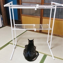 山善　ハンガーラック　OSM-2T(IV)