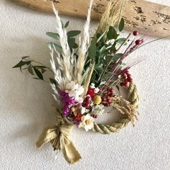 パンパス　小分けpgtの画像