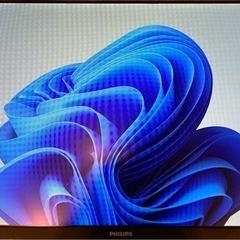 PHILIPS モニターディスプレイ 241E1D/11の画像